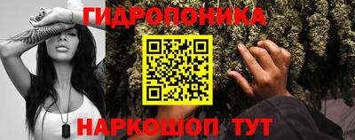 мескалин Камышлов