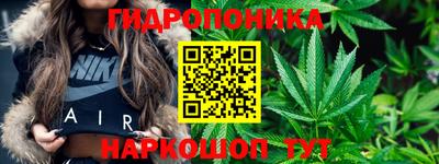 мескалин Камышлов