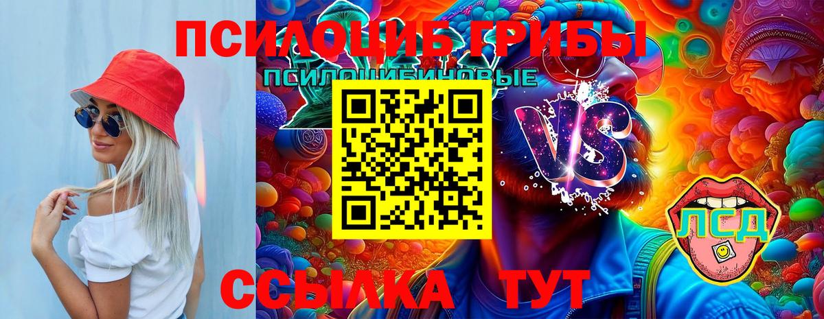 Галлюциногенные грибы GOLDEN TEACHER Волоколамск