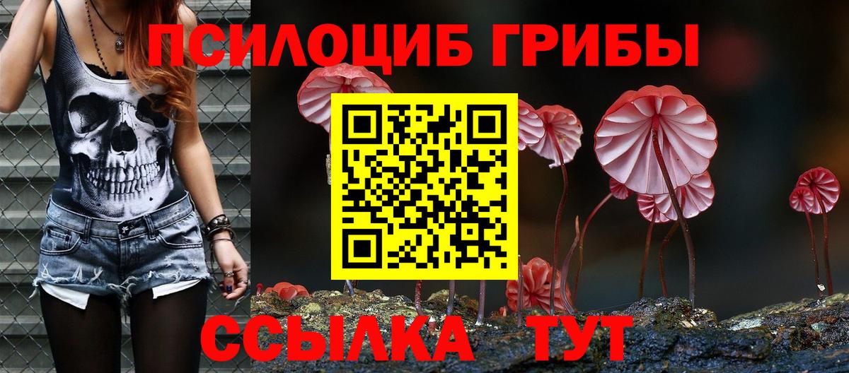 Волоколамск  Псилоцибиновые грибы Psilocybine cubensis  Вход с VPN  Галлюциногенные грибы MAGIC MUSHROOMS 
